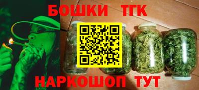 СК Абакан