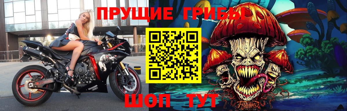 Альметьевск  Псилоцибиновые грибы MAGIC MUSHROOMS  Вход с VPN 